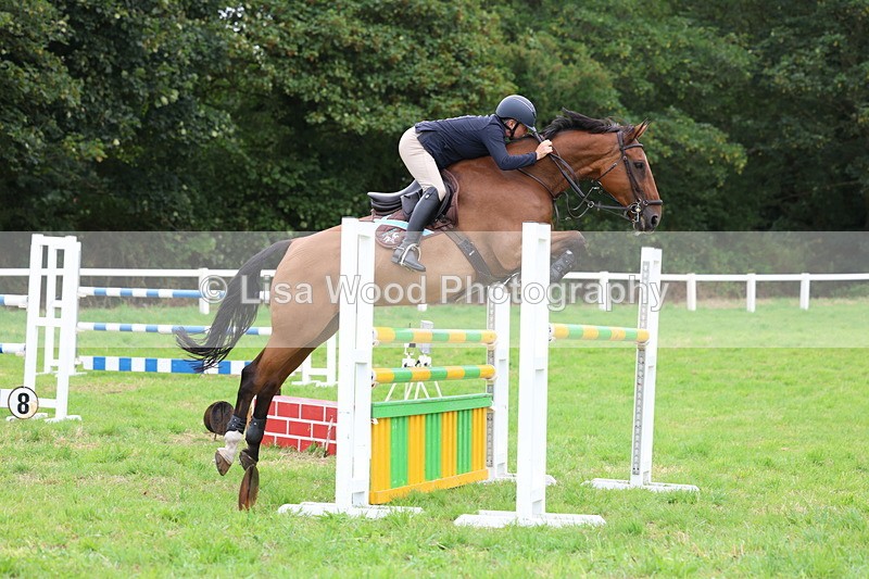 3E7A8505 - Class 8: Senior Foxhunter/1.20m open