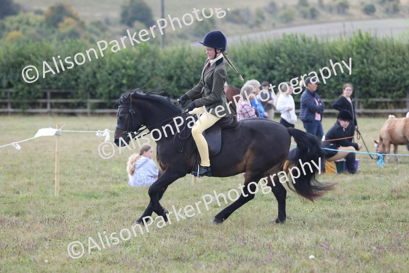 20250831-1180 - Class 15 - Ridden Veteran