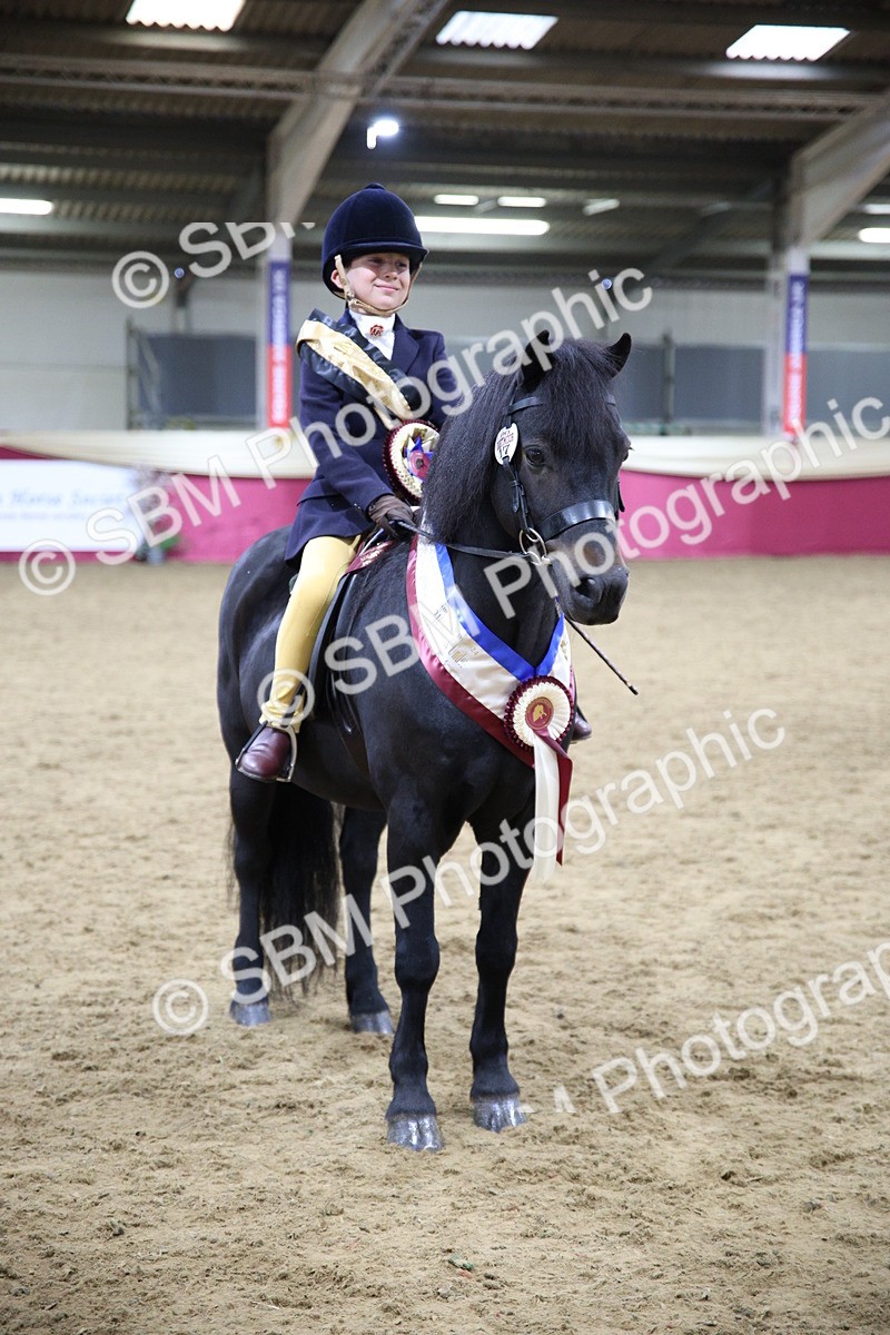 SBM_19055 - Class G Ridden Pony Champ