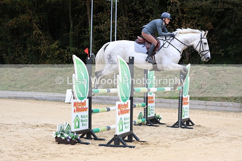 3E7A3221 - Class 9: Senior Foxhunter/1.20 open