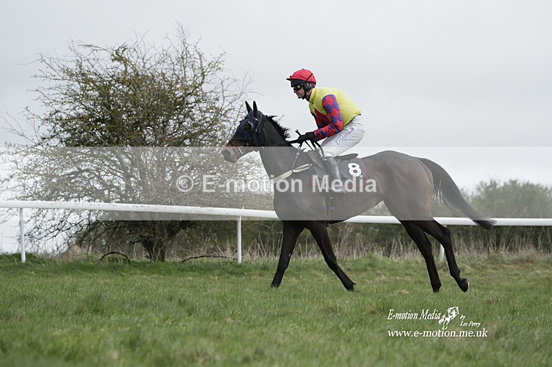 PtP 260323 0704 - New Forest Hounds Point-to-Point Larkhill 26/03/23