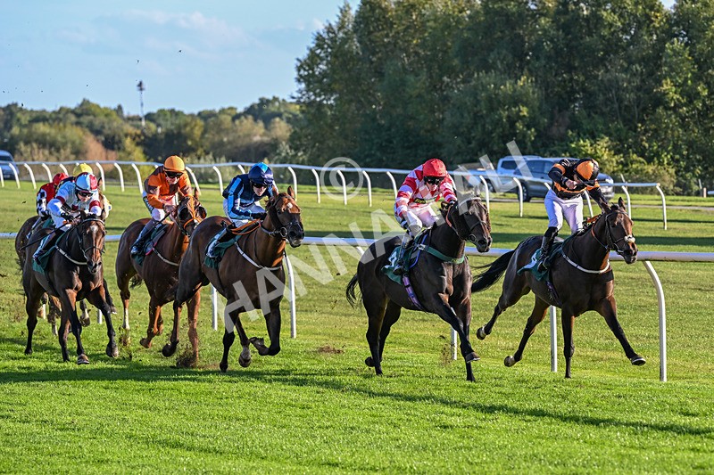300926-Race 6-Wait For It-6890 - Race 6 4.50pm racingtv.com Handicap