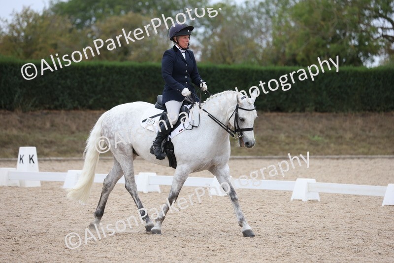 20250820-1161 - Class 17 - Elementary 4