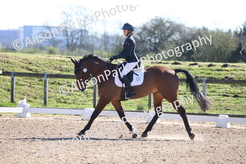 20260318-0439 - Class 5 - Novice 2