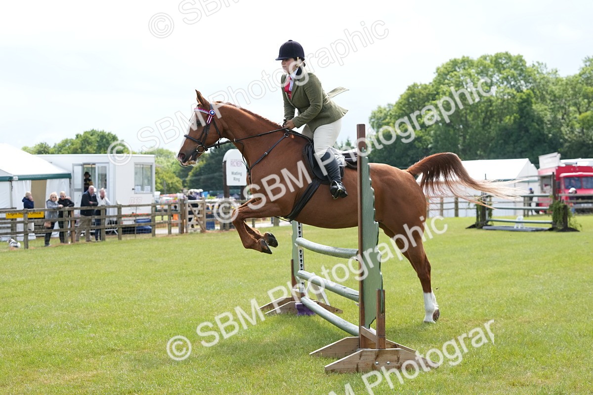 SBM_12899 - Class 99 - RIHS SEIB Working Show Horse