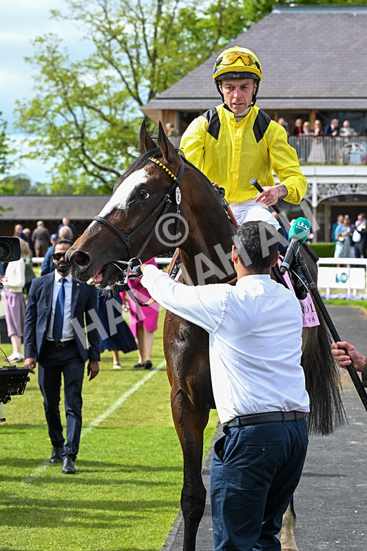 150526-Race 5-Rahiebb-8226 - Race 5 4.05pm Boodles Yorkshire Cup Stakes
