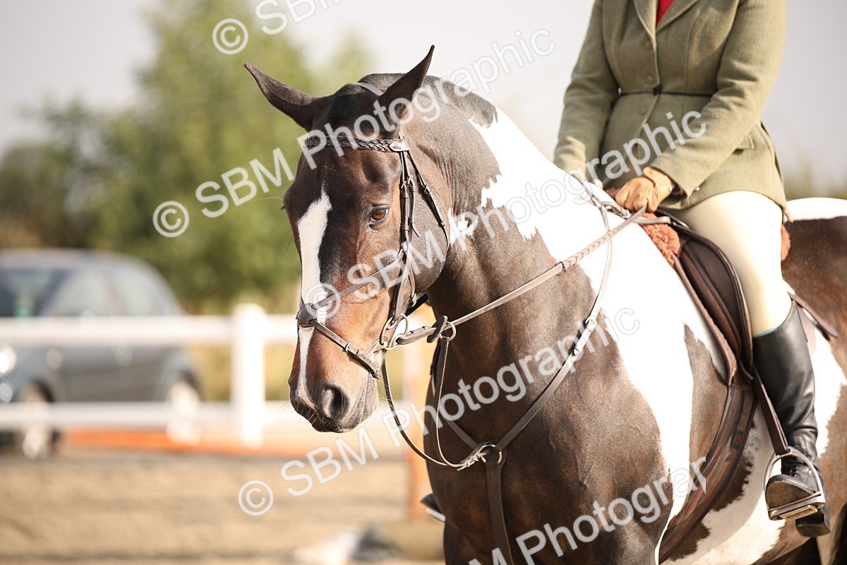 SBM_10235 - Class 402 Riding Club Horse