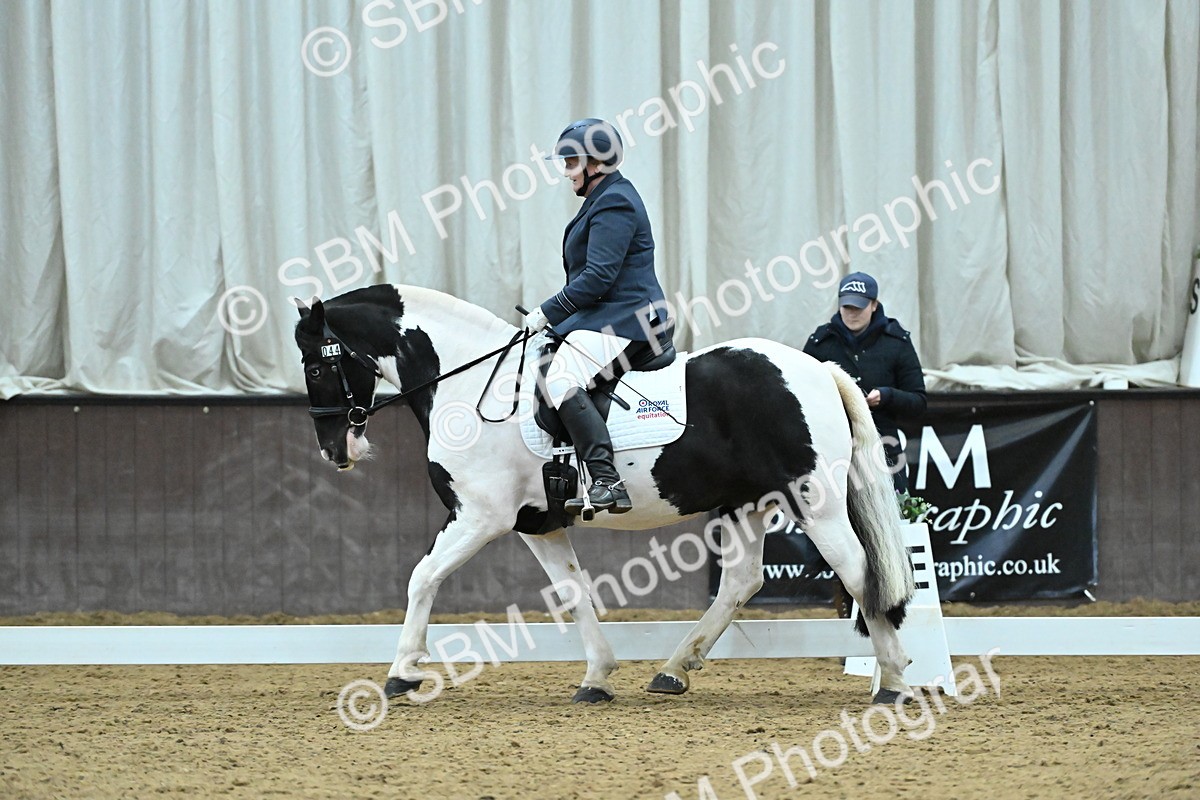 SBM_007410 - Class 81 - Novice 3