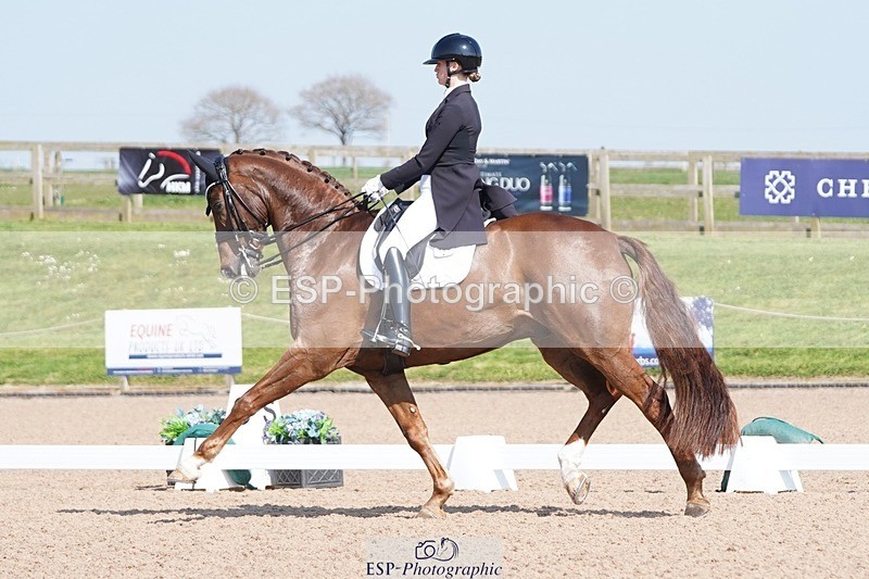 250404-144046-06742 - 149-Nathalie.Wahlund-Gorklintgards.Scorpion