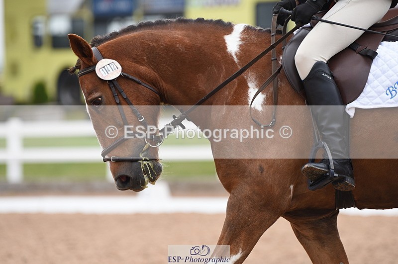 230708A-112242-01562 - Prelim 7