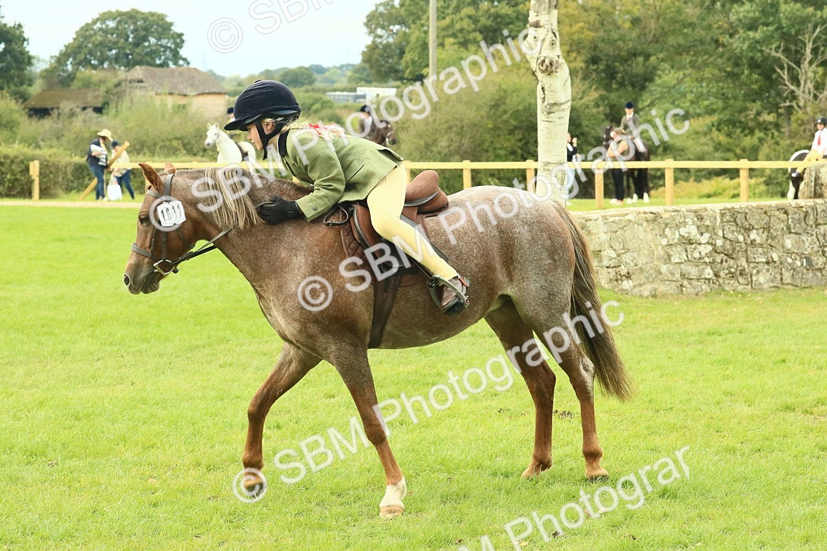 SBM_69965 - S59 - Mountain & Moorland Ridden Small Breeds