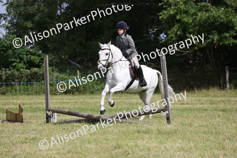 20260614-0542 - Class 20 - Beginners Working Hunter Pony