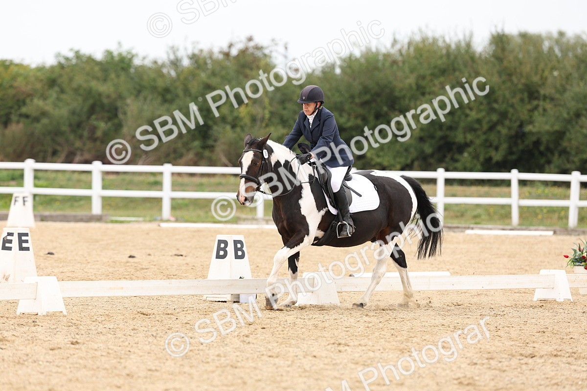 SBM_00893 - Class 8 - Novice 27 Champs