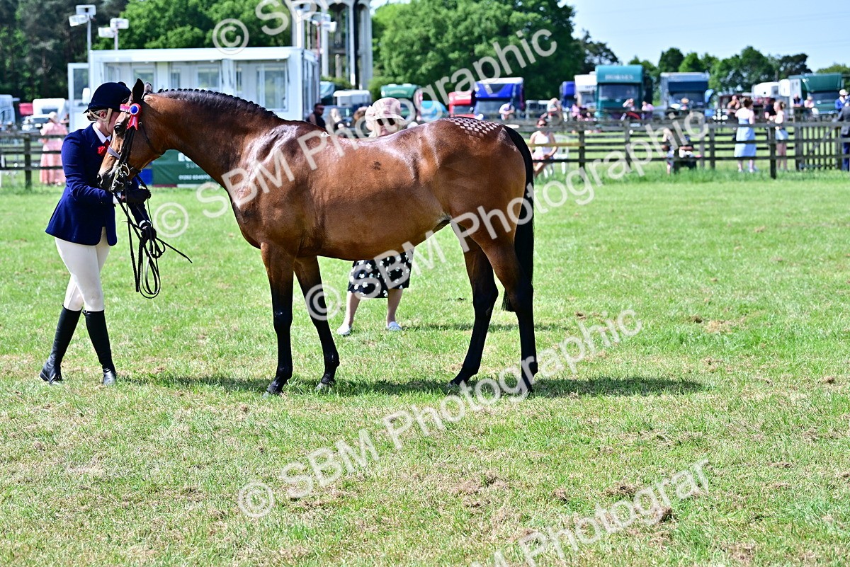 SBM_03861 - Class 58 - TSR  Ridden Veteran Amateur of the year