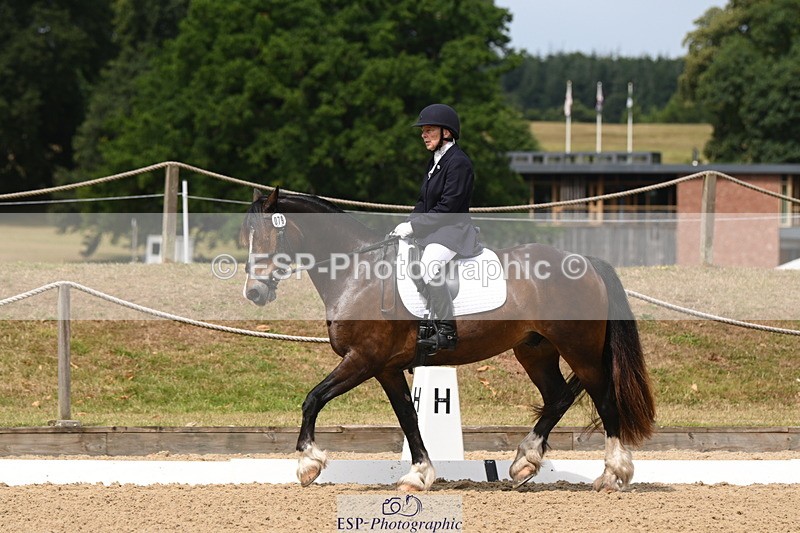 250720A-115650-10082 - 079-Amanda.Williams-Llanarth.Westminster