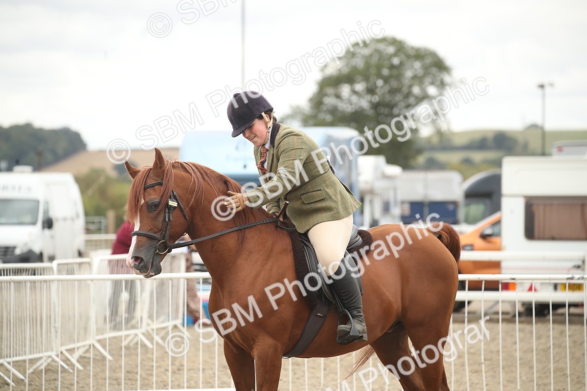 SBM_18378