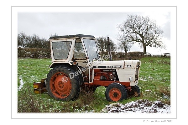 DSC_0136 1 - David Brown