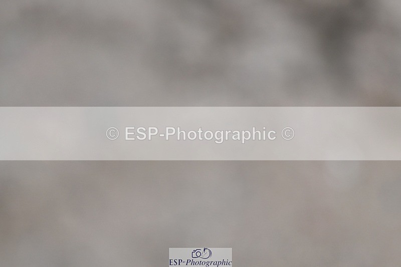 250125-135911-00751 - Dressage - CT Class 7 BE Novice 112