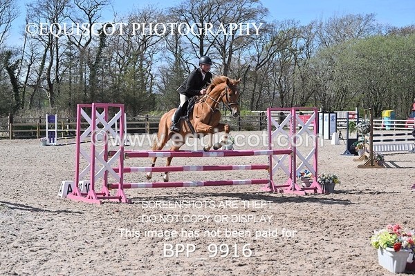 BPP_9916 - CLASS 19 SUN Senior British Novice/ 90cm Open