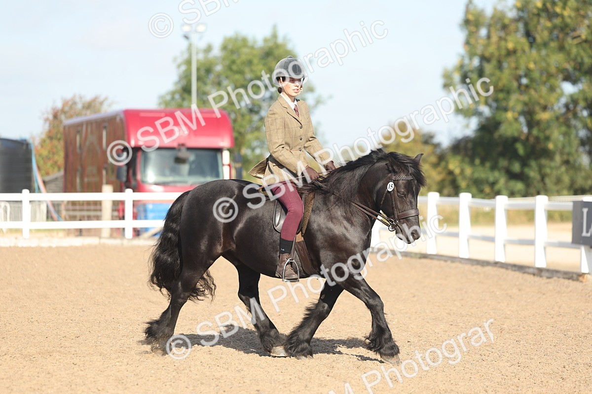 SBM_22174 - Class 802 - Ridden Groom Helpers Class