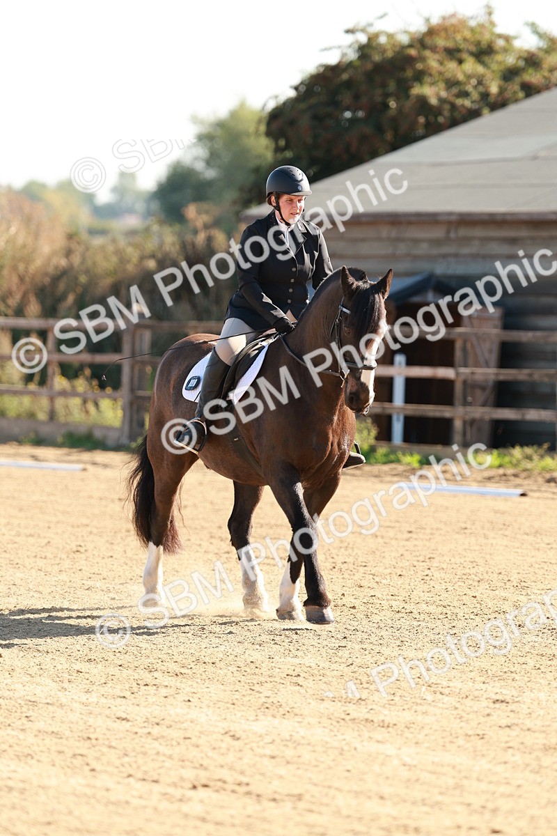 SBM_009252 - Class 2 - Intro 3