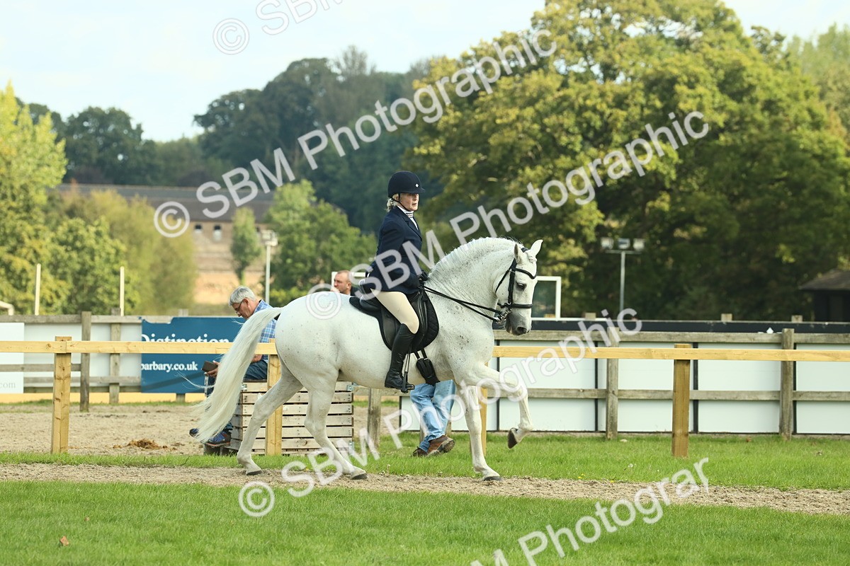 SBM_62441 - S62 - Foreign Breeds Ridden