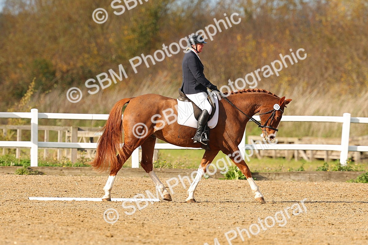 SBM_000777 - Novice 4