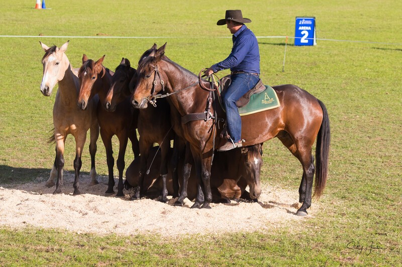 Guy McLean 9. 0A3A8146 - 2025 Senic Rim Clydesdale Spectacular