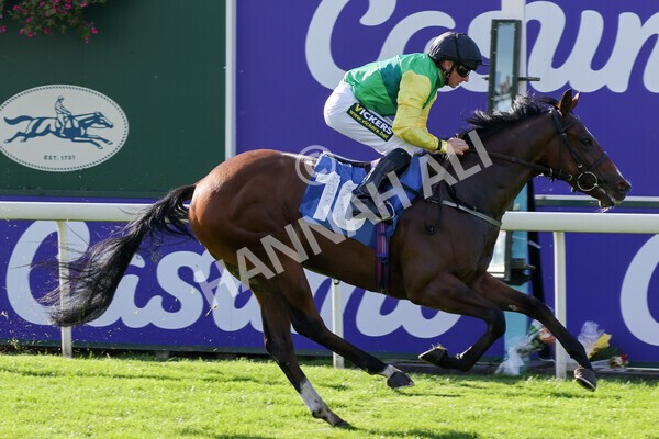 yr08102021r2-15 - Race 2 2.40pm Racing to School EBF Novice Stakes