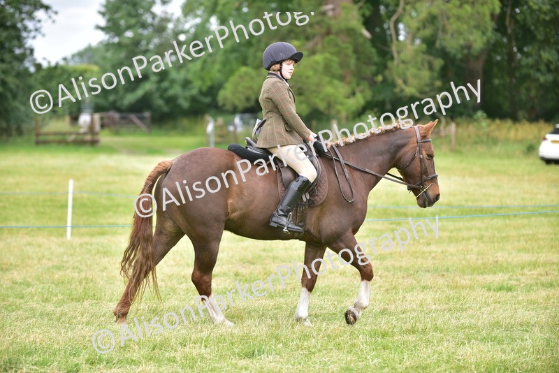 20260614-2668 - Class 13 - Pony Club Pony