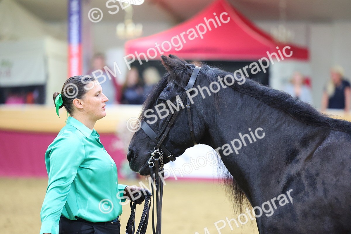 SBM_19647 - Class 901 - Supreme Final - IH Diamond