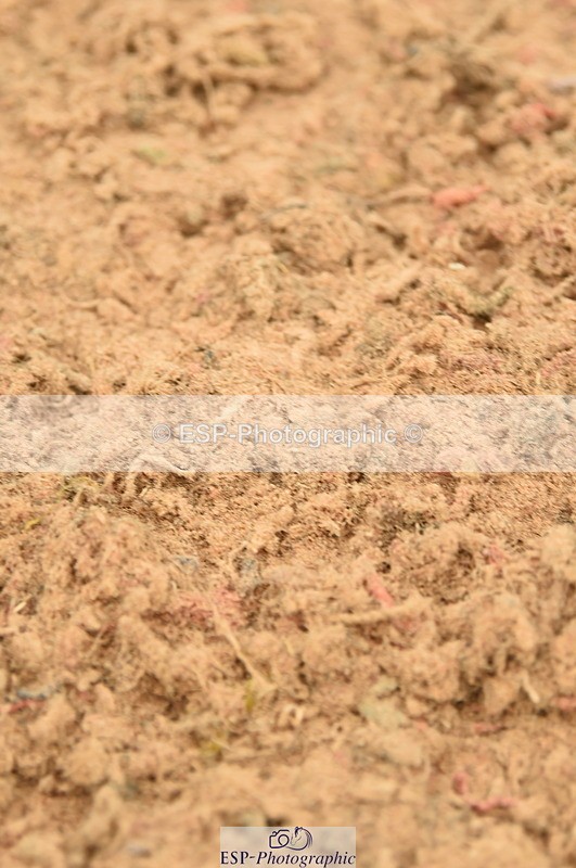 230610A-154250-04094 - Cls 25 Team Competition