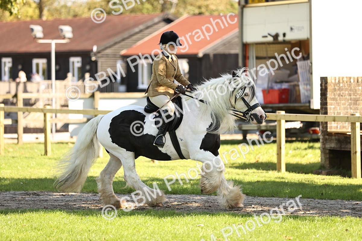 SBM_19149 - S3 - TSR Ridden Pony Showing