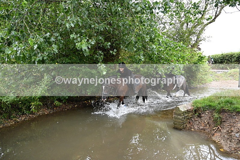 WJ7_8696 - Group 3