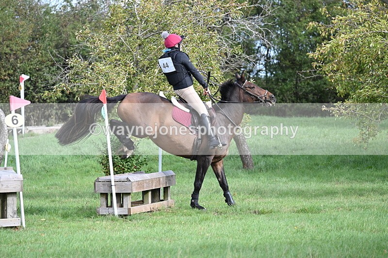 WJ7_8314 - 60cm Pairs