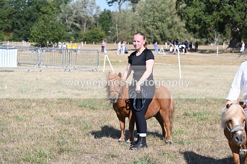 WJ6_7329 - Class 33 Rescue Pony