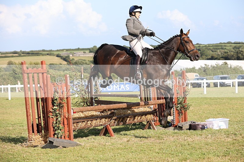 JPP_3123 - Class 21: Working Hunter 80cm