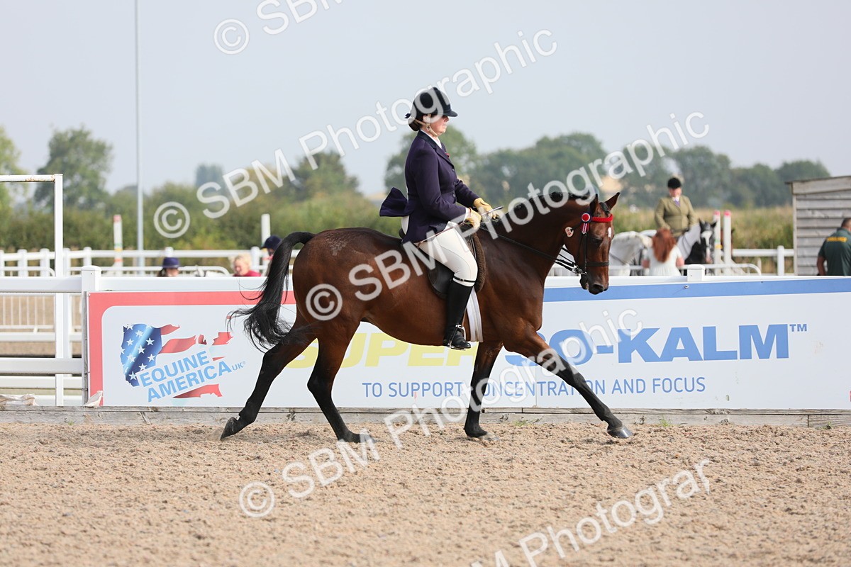 SBM_10904 - Class 304 Ridden Part Bred Horse/Pony