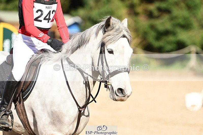 250302A-141011-02207 - Cls 03 90-95cm