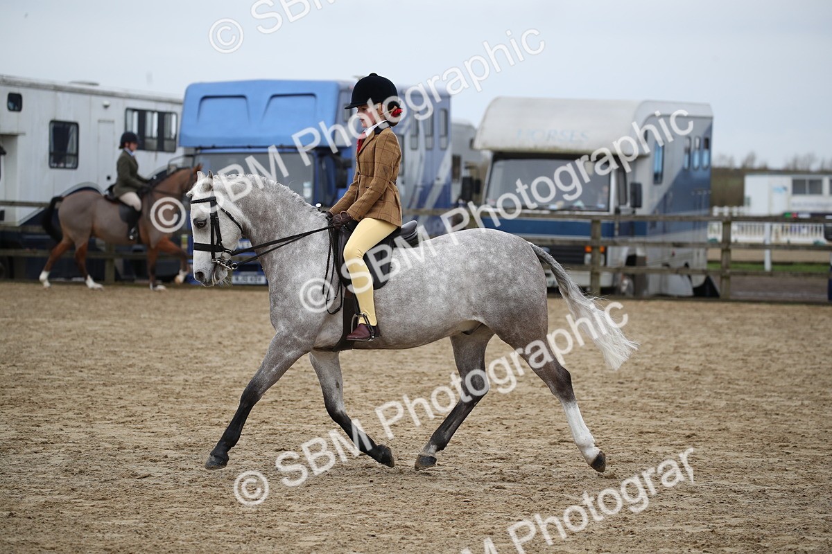 SBM_004662 - Class 5-9 - NPS In Hand-Show Hunter-Intermediate Ridden Inc Ridden Championship