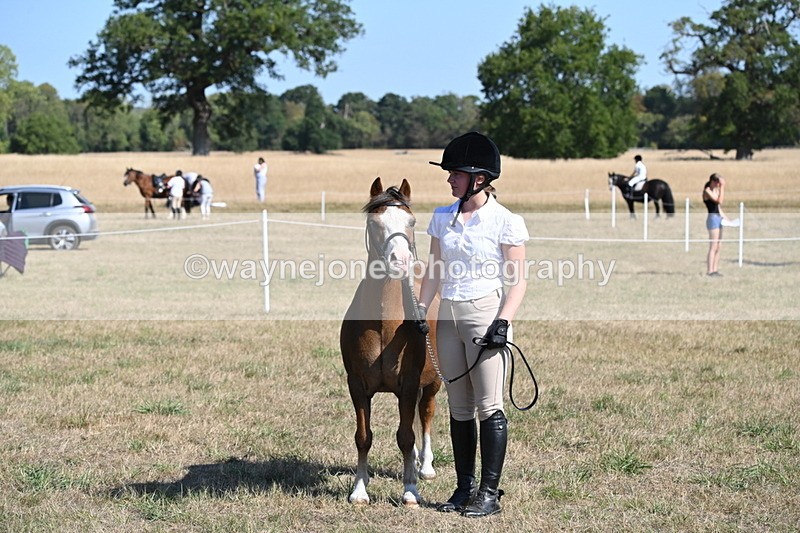 WJ6_7571 - Class 34 Judges Choice