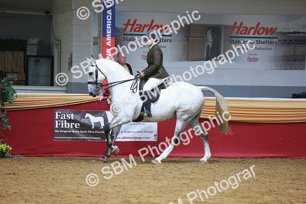 SBM_06059 - Class 12R - Ridden Pre-Vet