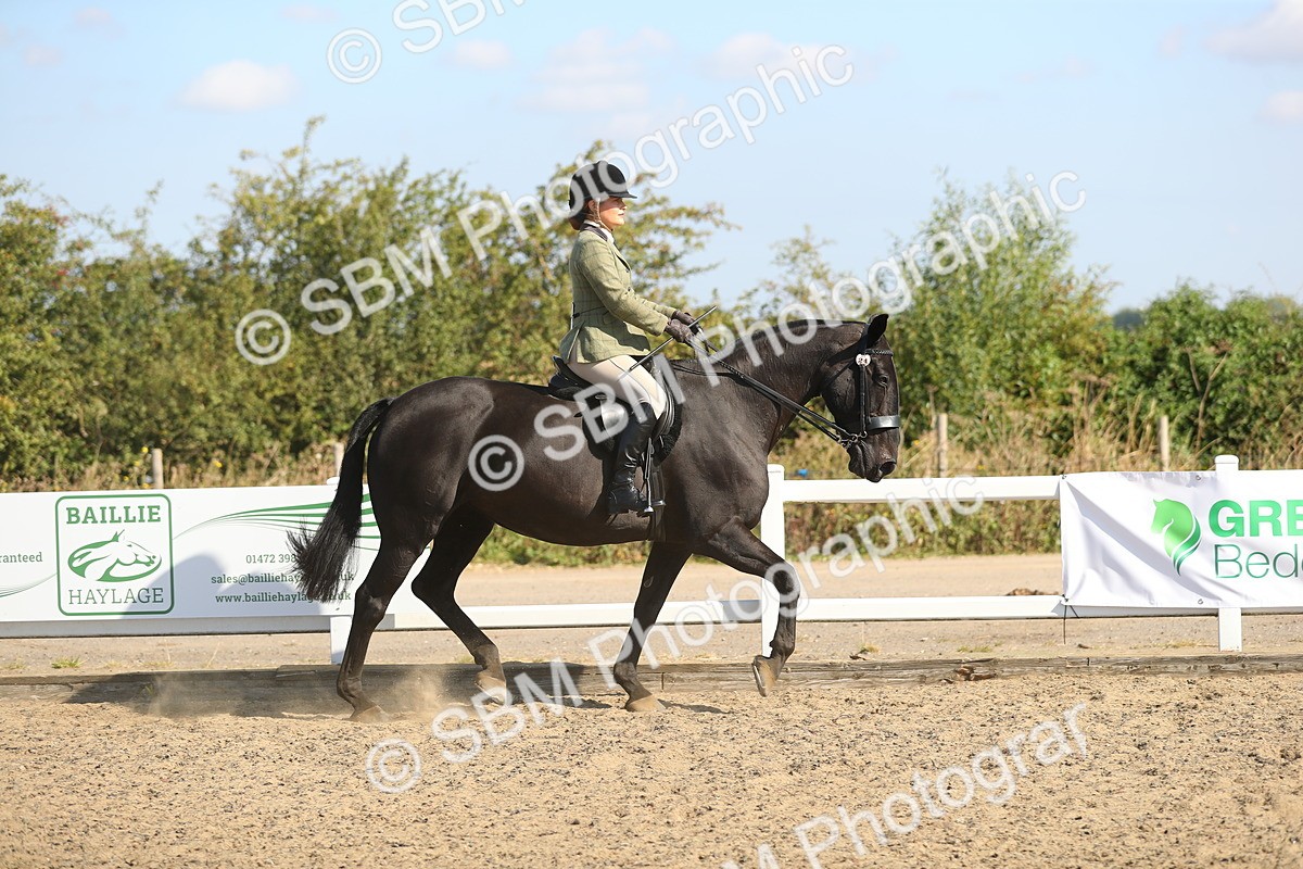 SBM_02199 - Class 43 Ridden Competition Horse/Pony