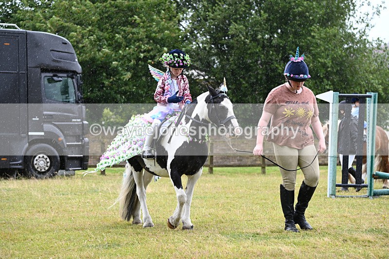 WJ6_9107 - Class 11 Fancy Dress