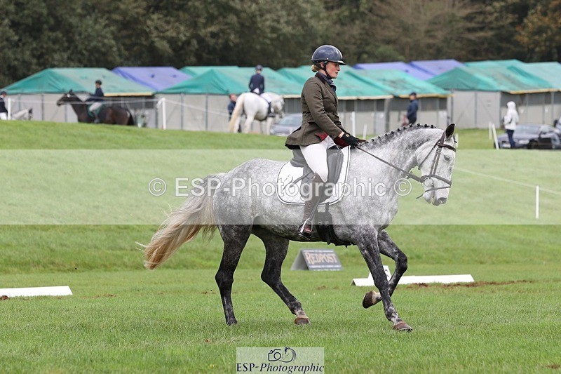 231019-153035-04906 - 553-HARLEQUIN.RABBIT-Althea.Bleekman-DR