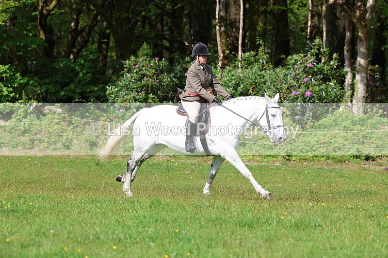 3E7A2673 - Working Hunter Championship