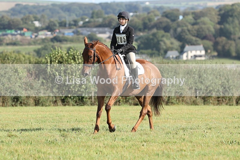 JPP_8033 - Class 2A: Trekenning Open: Dressage