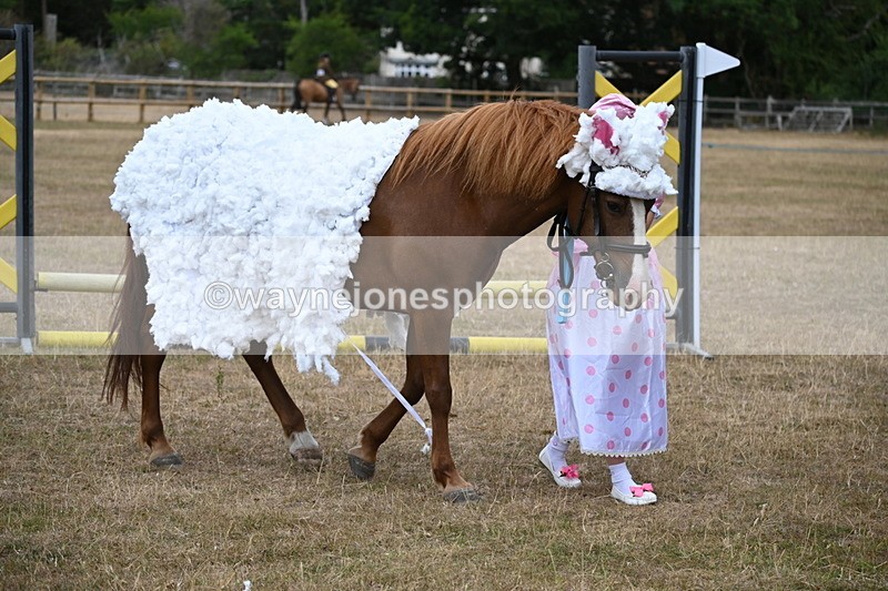 WJ6_8712 - Class 11 Fancy Dress