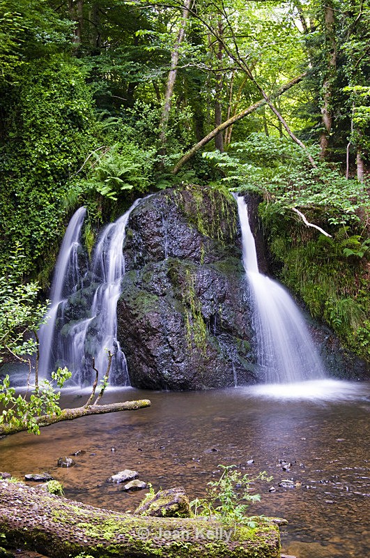 Fairy Glen, Rosemarkie - 0137 - Water