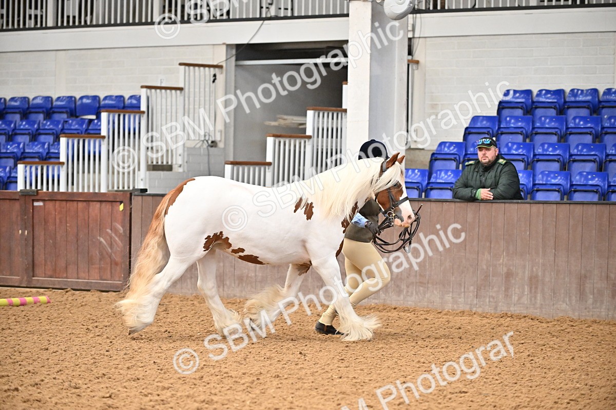 SBM_000015 - Class 1 - In Hand Cob